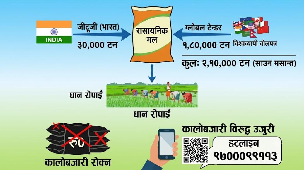 धान रोपाइँका लागि २ लाख १० हजार मेट्रिक टन मल आयात गरिँदै