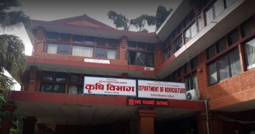 स्थानीय तहलाई उन्नत बीउ उत्पादनमा अनुदान लिन आह्वान