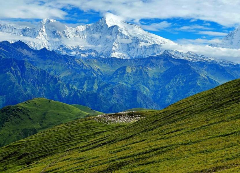 भेडाको बथान र पुथा हिमाल(फोटो कथा)