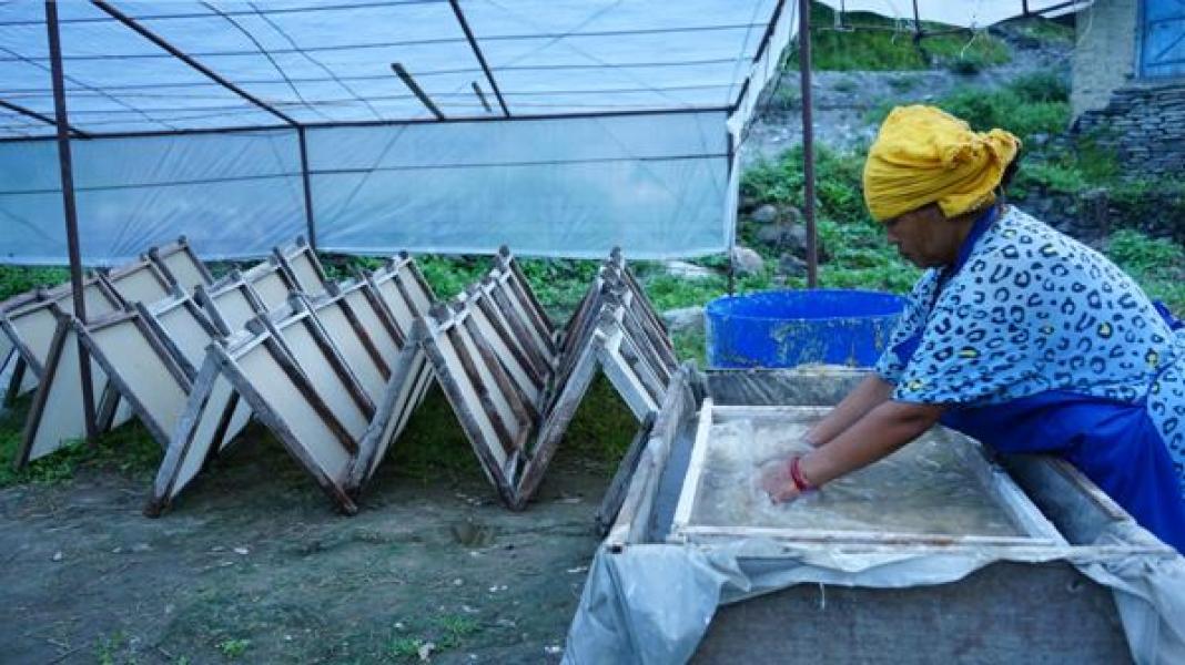 नेपाली कागज उद्योग सञ्चालन भएपछि लोक्ताको सदुपयोग