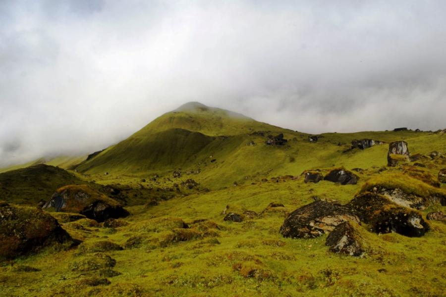 बुकी पाटन