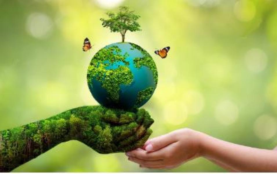 नेपालले कार्बन बिक्रीबाट प्राप्त गर्दैछ रु एक अर्ब ६० करोड