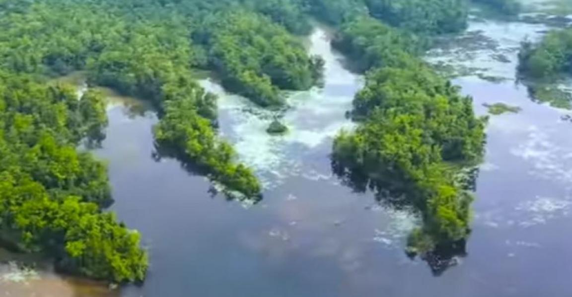 घोडाघोडीमा आन्तरिक पर्यटकको चहलपहल बढ्यो