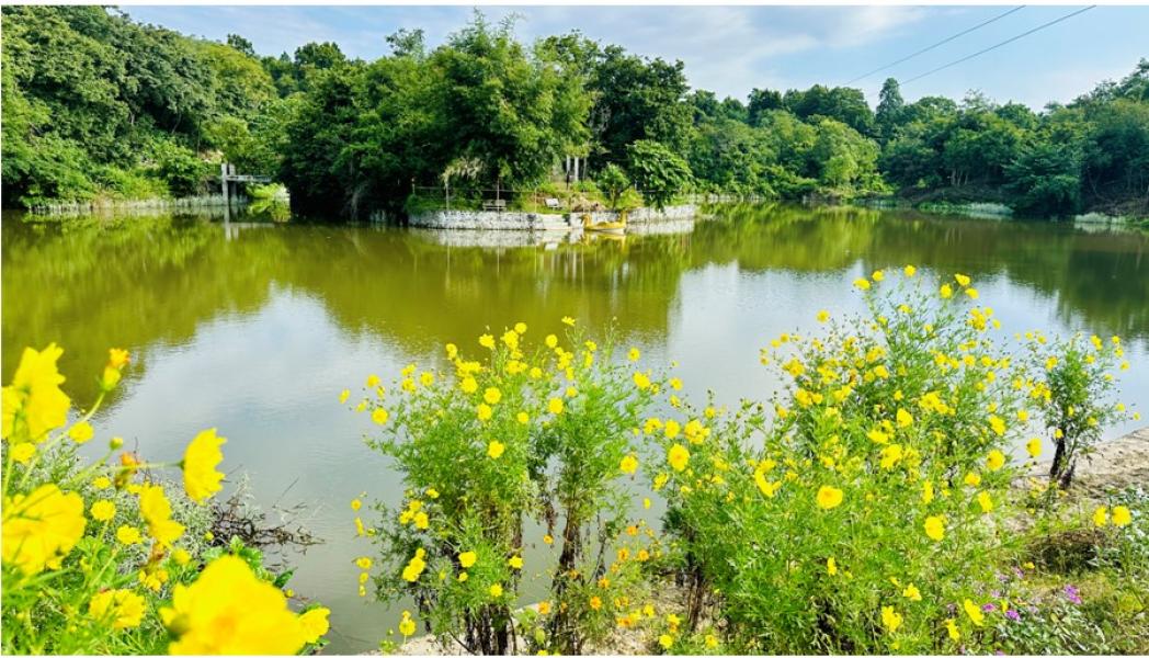 पर्यटक लोभ्याउने सिरहाको ‘गोसाइ डाँडा ताल’