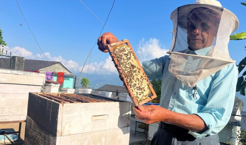 मह बेचेर वार्षिक १२ लाख बढी आम्दानी