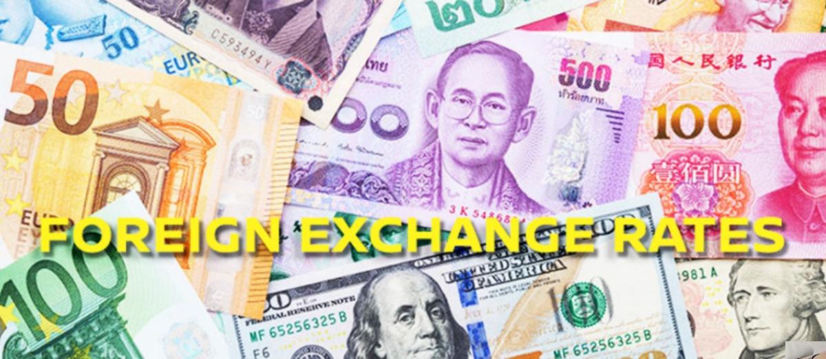 विदेशी मुद्राको विनिमय दरः अमेरिकी डलर स्थिर, यूरो बढ्यो