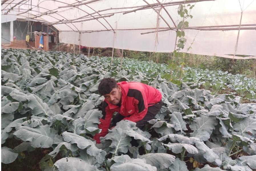 सागसब्जीबाट वार्षिक छ लाख आम्दानी