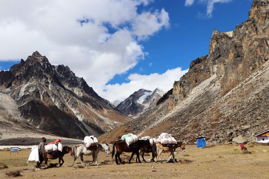 खचडमार्फत ढुवानी