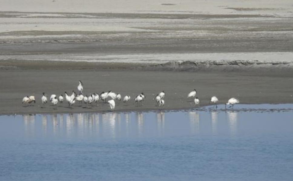 जलवायु परिवर्तन प्रभावको असर विदेशी पर्यटक चरामा