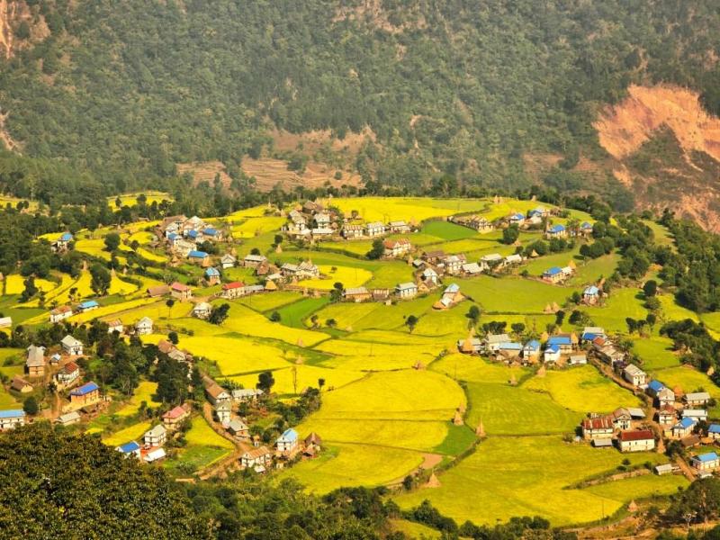 दाङबाङ गाउँ