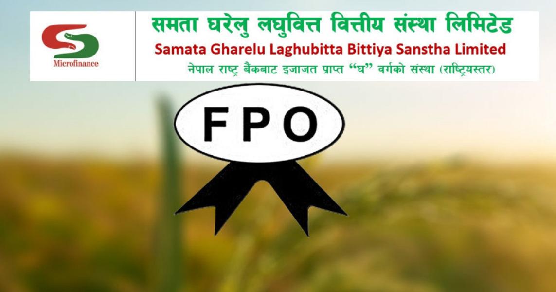 समता घरेलु लघुवित्तको एफपीओ बाँडफाँड भोली