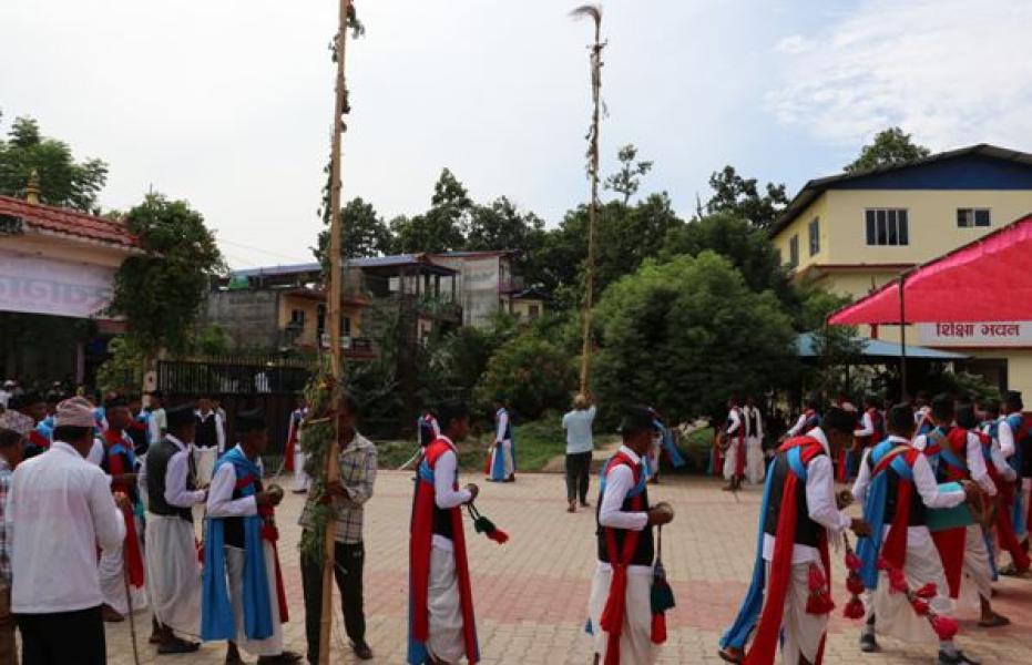 महाभारतकालीन मेडरी नाच संरक्षणमा जुटे थारु समुदाय