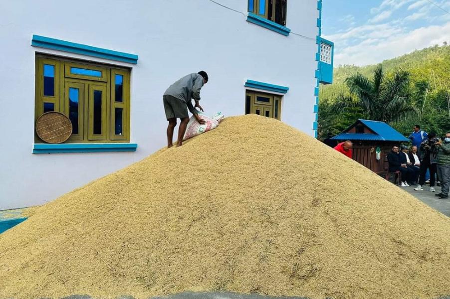 गुल्मीका एउटै व्यक्तिले फलाए चारसय मुरी धान