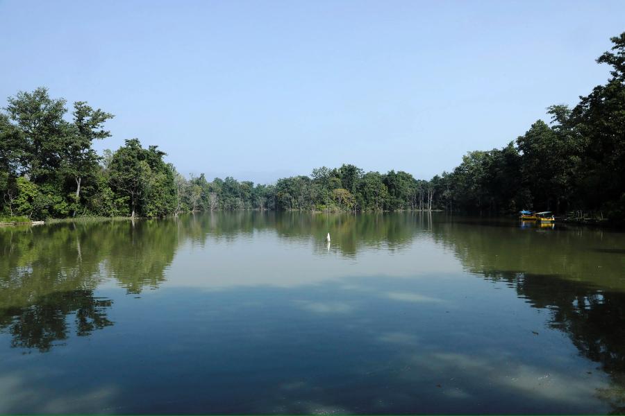 घोडाघोडी ताल