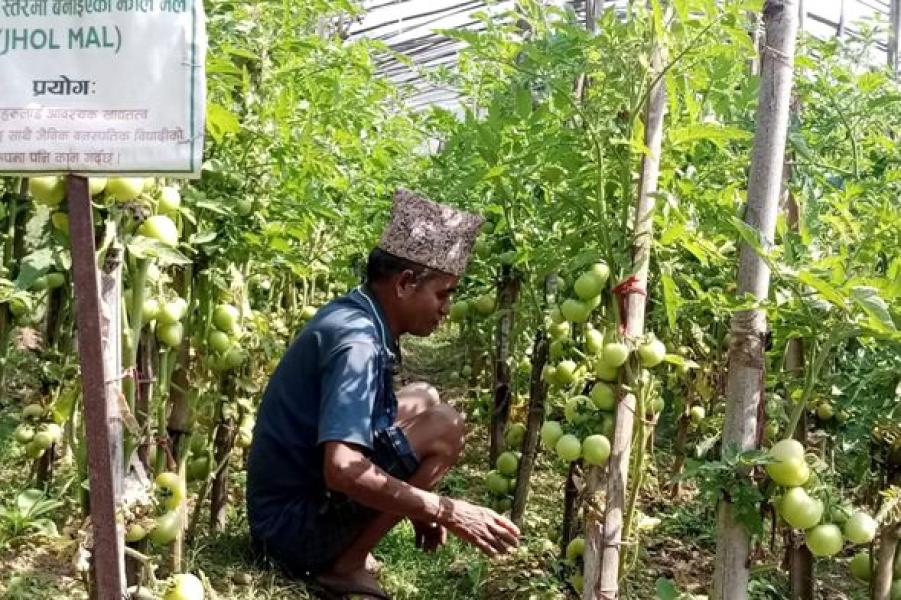 गाउँकै अगुवा किसान, गाउँले एफएम दाइ