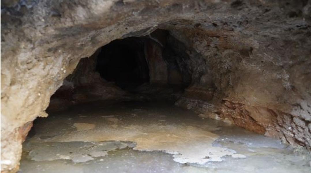 बगेर खेर गइरहेछ भोटको नुन