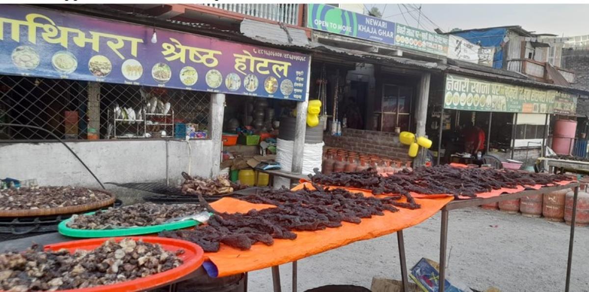 सुकुटी बेचेर मासिक दुई लाख आर्जन