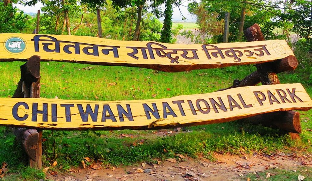 चितवन राष्ट्रिय निकुञ्जमा पर्यटक आगमन बढ्यो