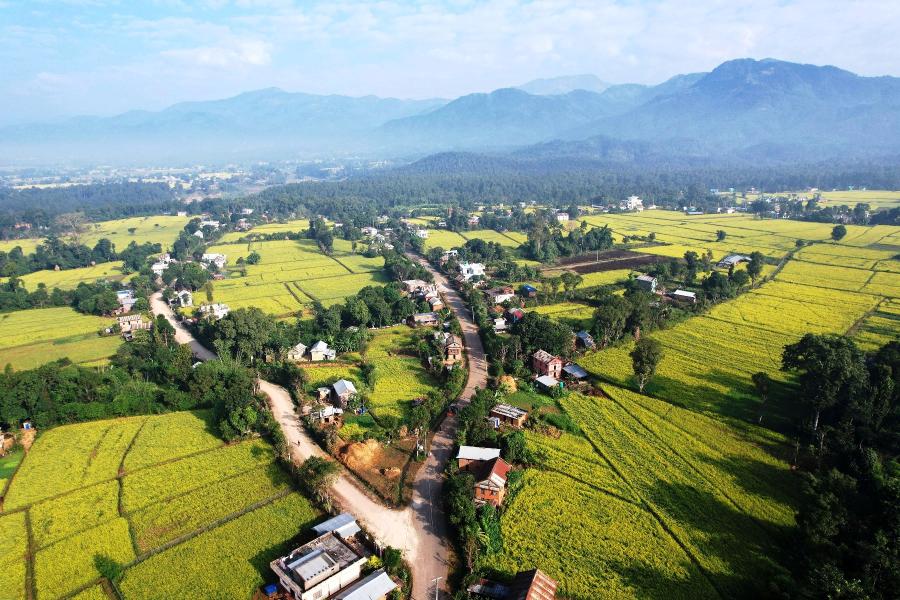 दाङको घोराही उपमहानगरपालिका-१३ स्थित मङ्लेरी गाउँ