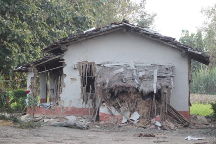 लालझाडीमा जङ्गली हात्तीले  आतंक मच्चायो