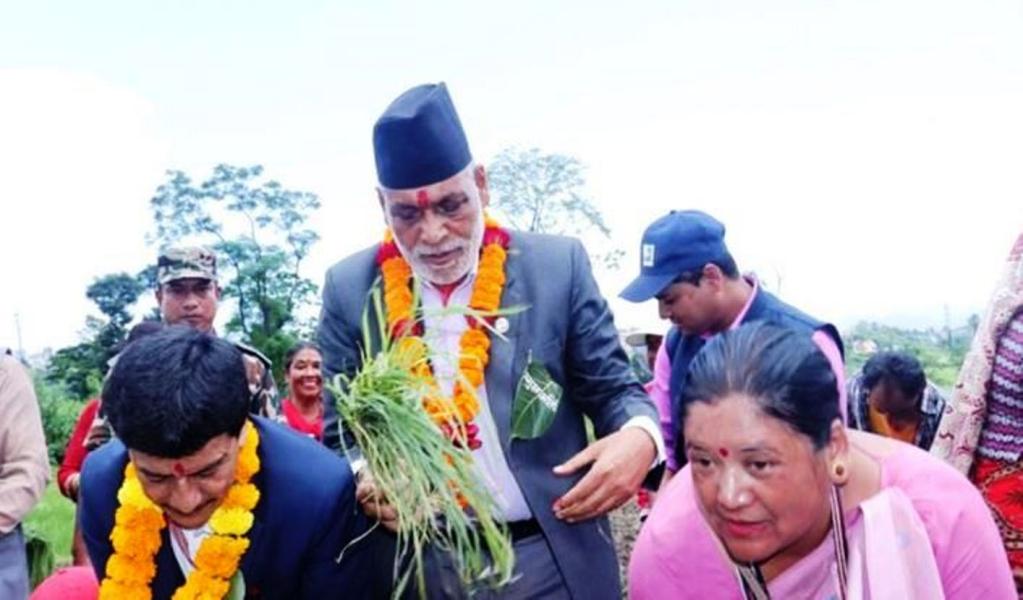 कोदोको उत्पादन बढाउनु पर्नेमा जोड