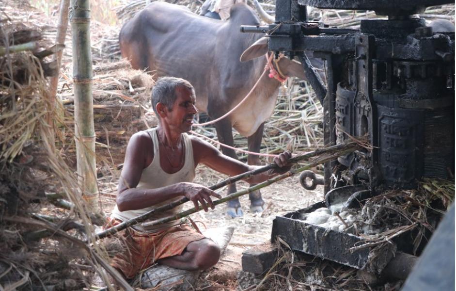 आलेख: ‘सख्खर जस्तै गुलियो व्यापार’