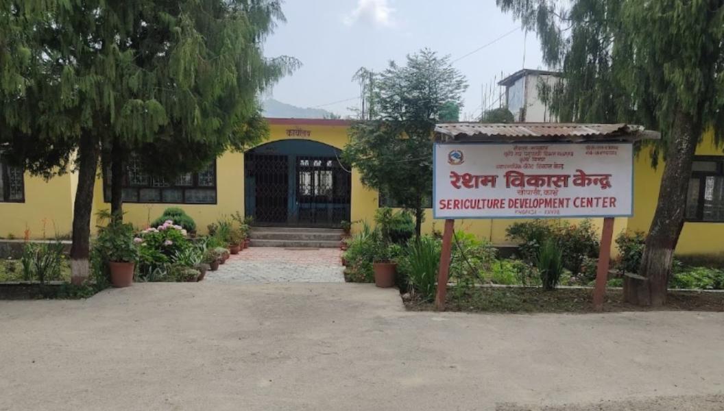 रेशम विकास केन्द्र: उत्पादन घट्दै, जेनतेन सञ्चालन