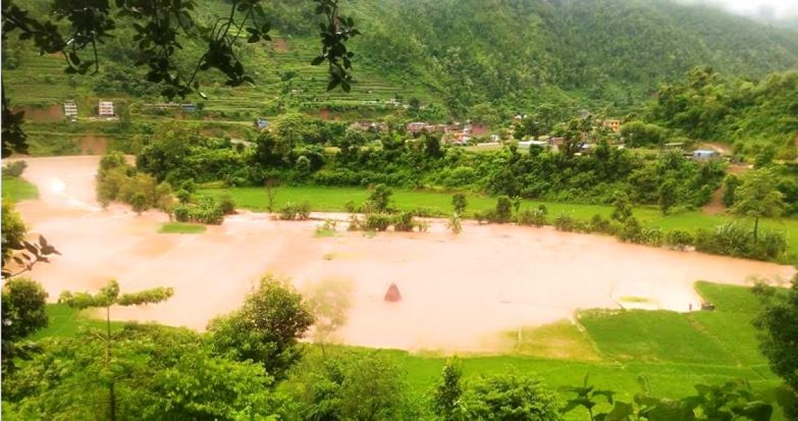 धानखेत बगरमा परिणत