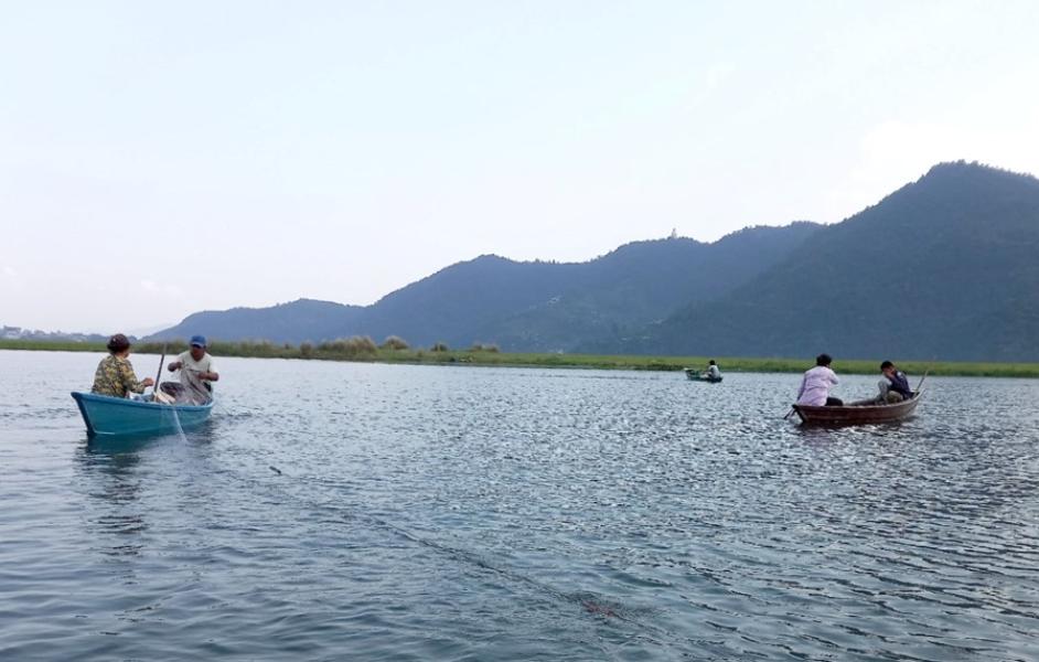 आलेखः पुर्ख्यौली पेसाप्रति जलारी युवाको घट्दो रुचि