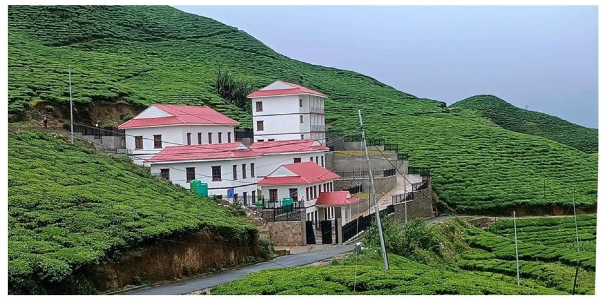 कन्याममा ‘टि टेस्टिङ एण्ड प्रोमोसन सेन्टर’ सञ्चालन हुँदै