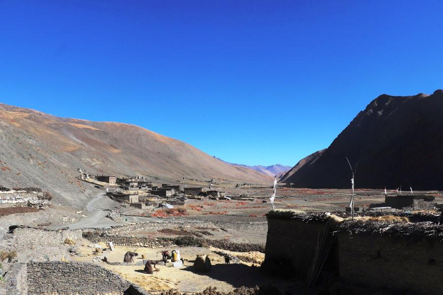 तिन्जेगाउँ