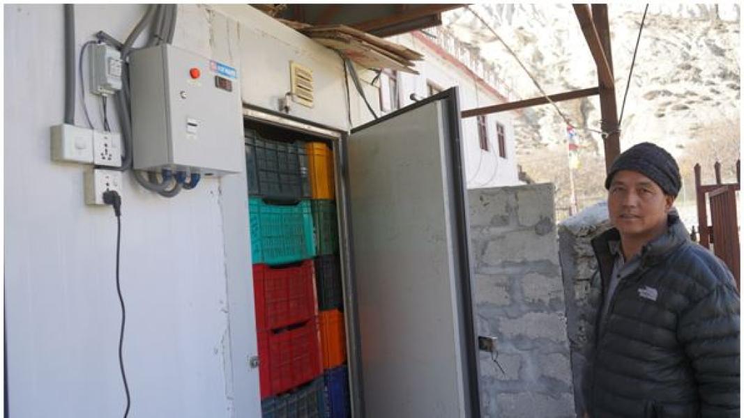 मुस्ताङमा स्याउ कुहिएर क्षति बेहोर्नुपर्ने समस्या हट्यो