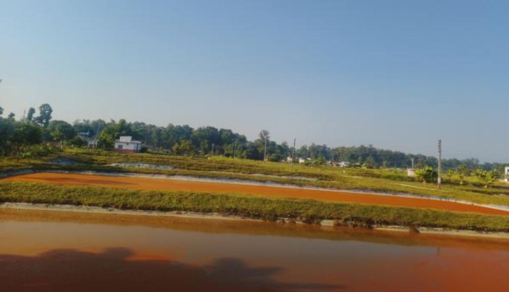 दुई करोडभन्दा बढी माछाका भुरा उत्पादन