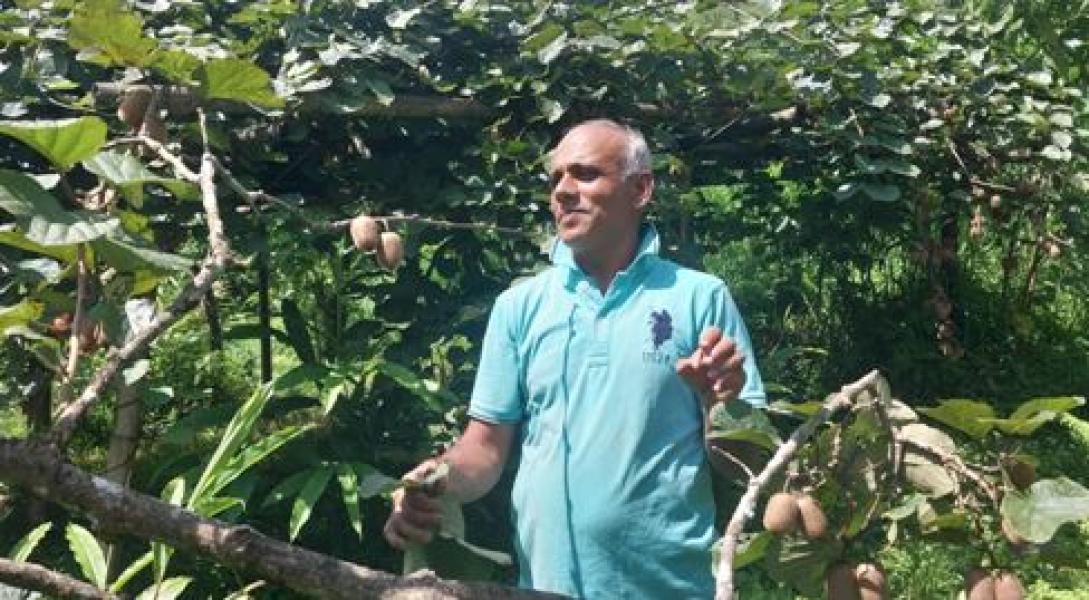 किसानलाई किबीभन्दा अलैँचीबाट अधिक फाइदा