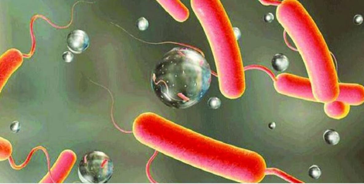 २५ जनामा हैजा पुष्टि