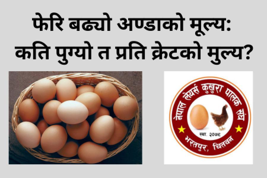 अण्डाको मूल्य बढ्यो, अब प्रति गोटा १७ रुपैयाँ
