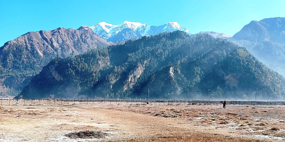 निलगिरी हिमाल