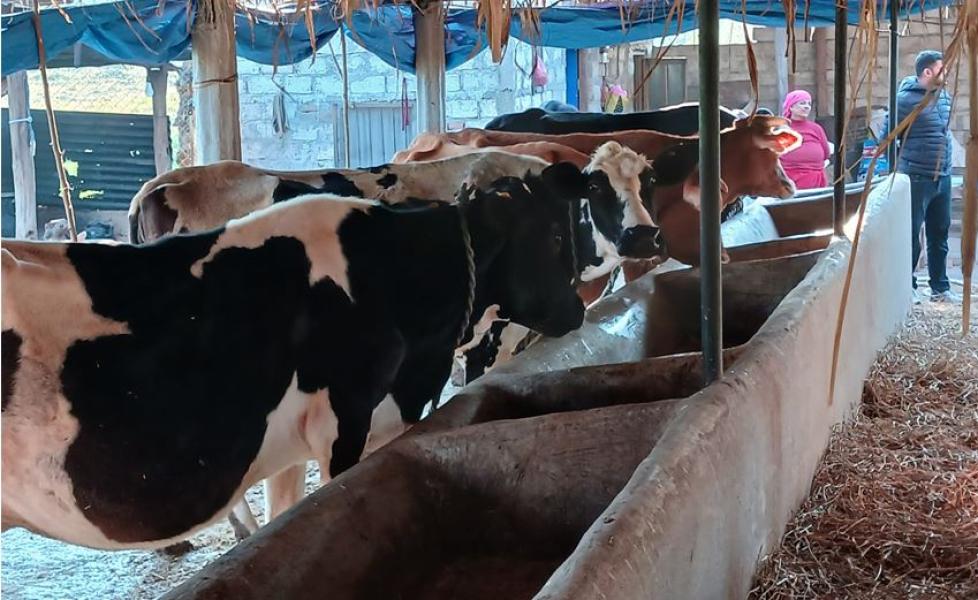 व्यावसायिक पशुपालनबाट वार्षिक १२ लाख आम्दानी