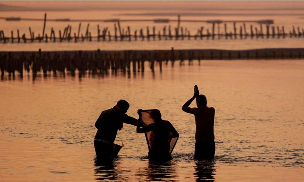 विशाल महोत्सवमा ४० करोड तीर्थयात्रीका लागि भारत तयार