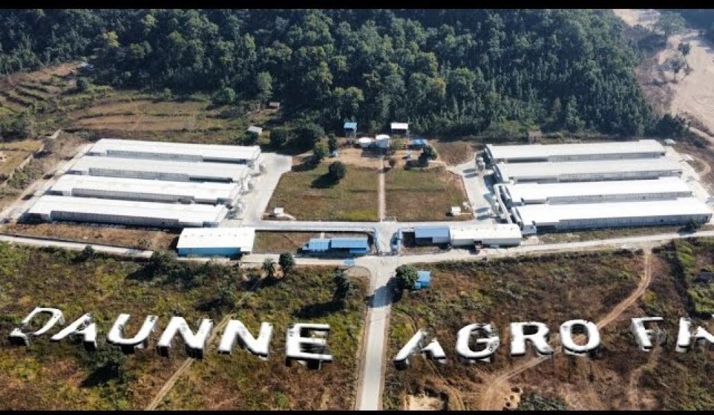 दाउन्ने एग्रो फार्मले आइपिओ निश्काशन गर्ने