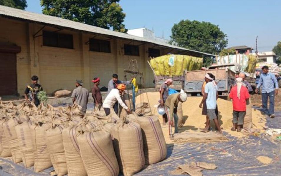 किसानद्वारा ११ करोडको धान बिक्री