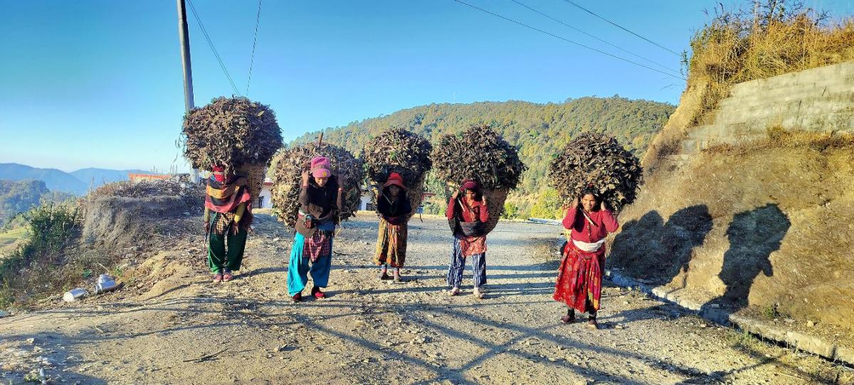 पतकरको जोहो