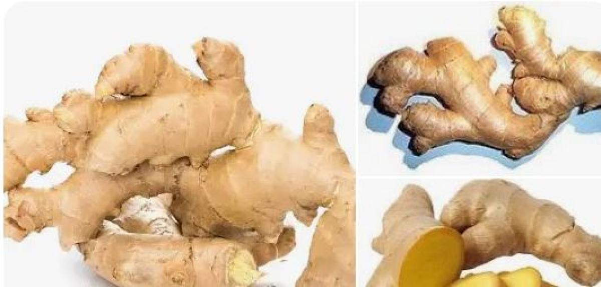 विदेशी बजारमा कर्णालीको अदुवा