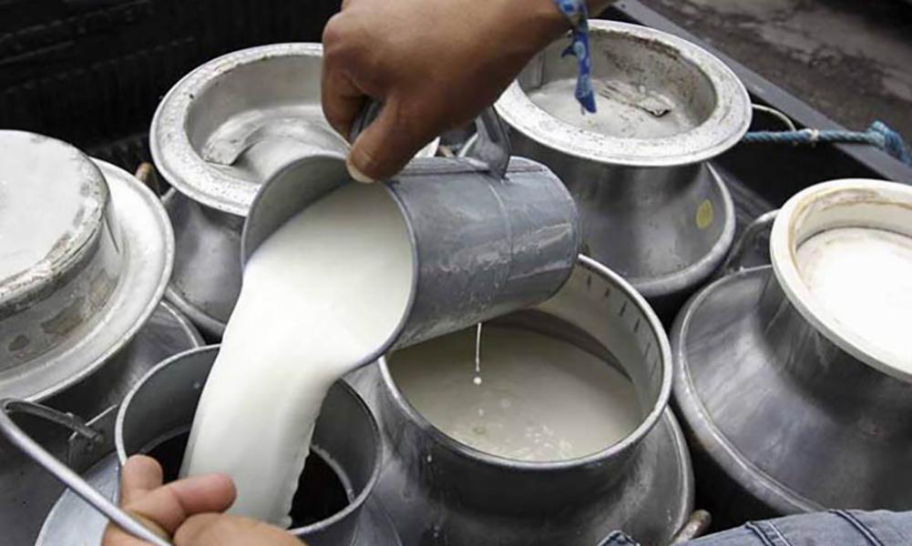 दूध उत्पादक किसानलाई तीन करोड अनुदान