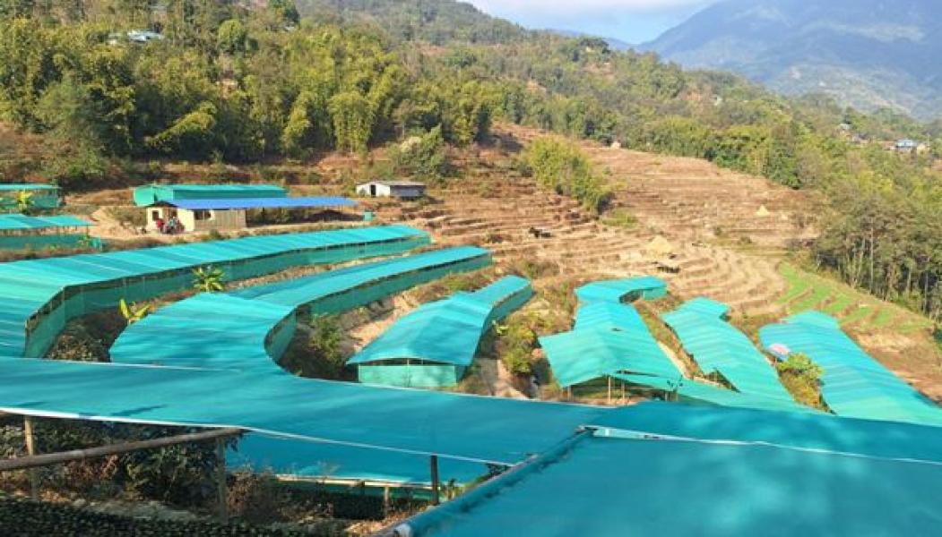 दिक्तेल रुपाकोट मझुवागढीमा ‘कृषकसँग उपप्रमुख कार्यक्रम’