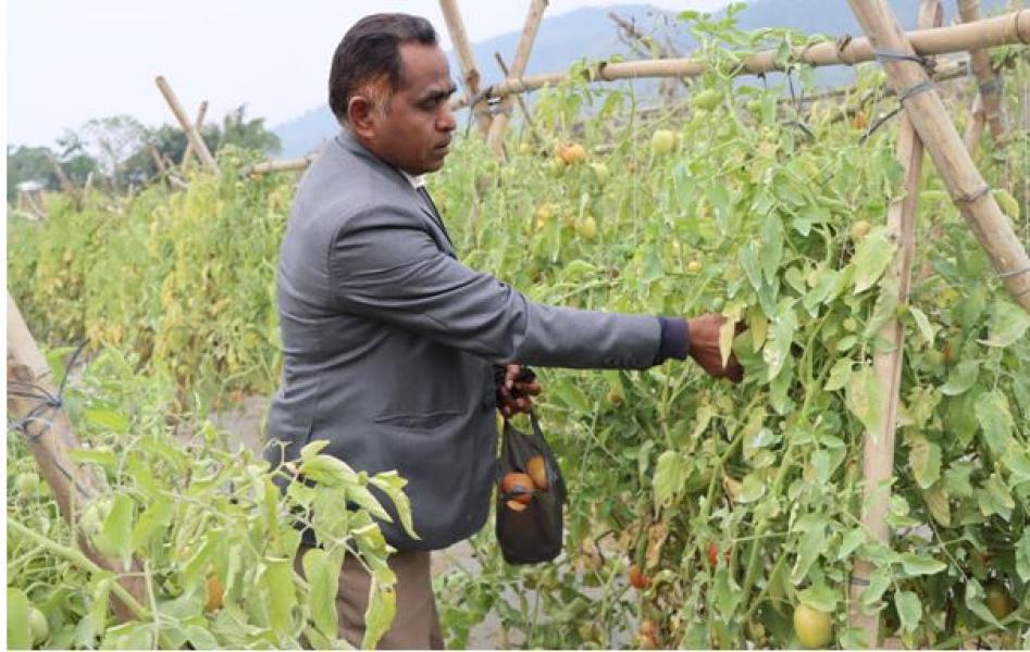 तरकारीखेतीमा वडाध्यक्ष ‘चौधरी’