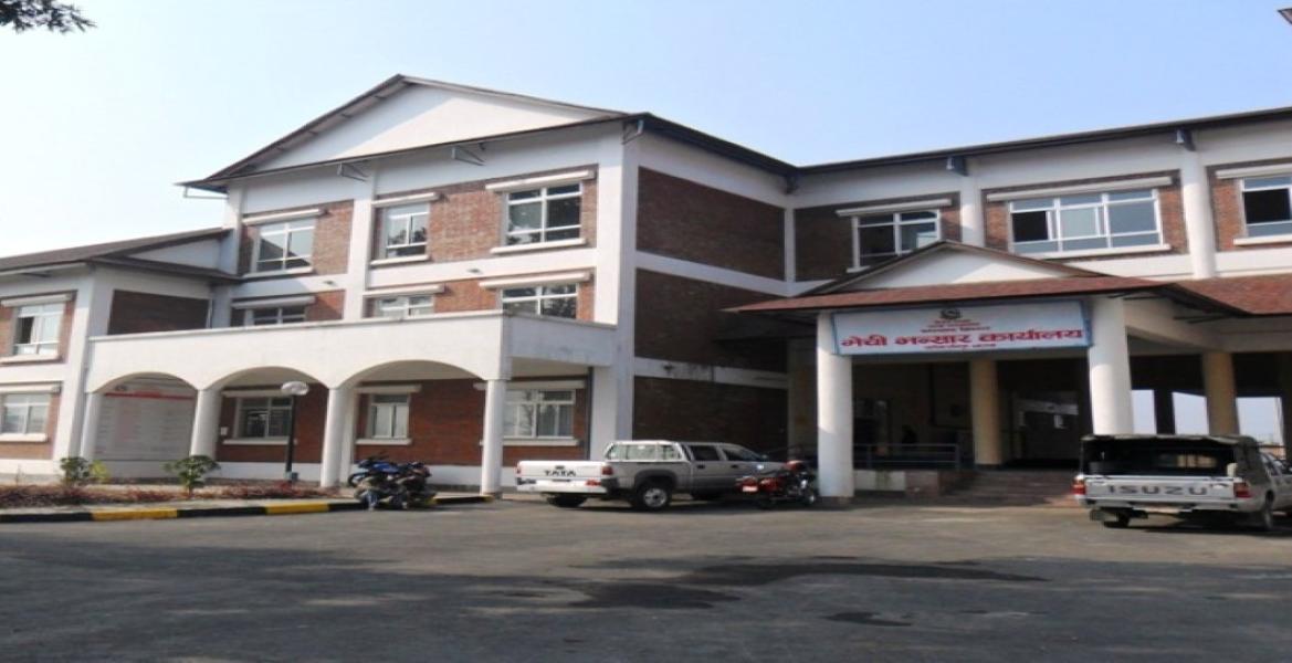 दुई अर्ब ९५ करोड बराबरको चिया निर्यात