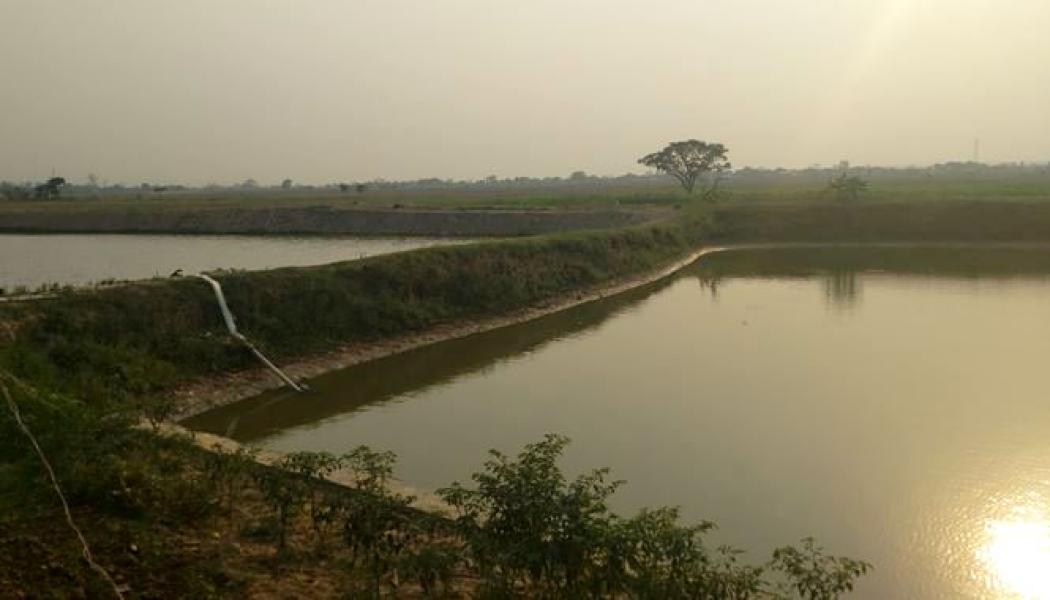 माछापालनप्रति किसानको आकर्षण बढ्दै