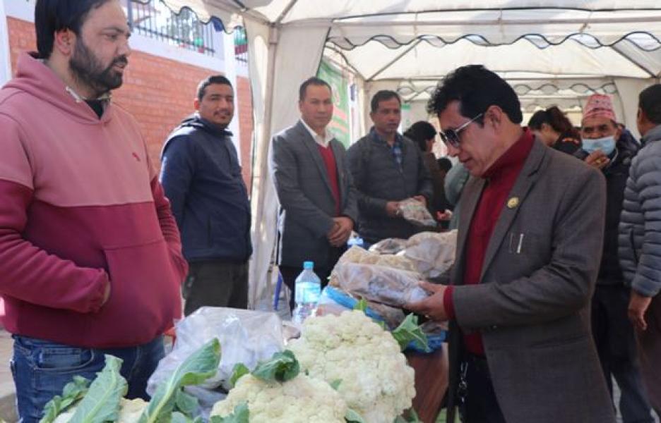 विषादीरहित सात किलो काउली उत्पादन