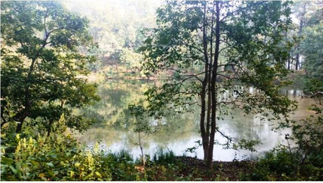प्रचारप्रसारको अभावमा सौन्दर्यले भरिपूर्ण सुनदेवी ताल ओझेलमा